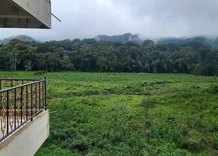 Jungle Palace Homestay
