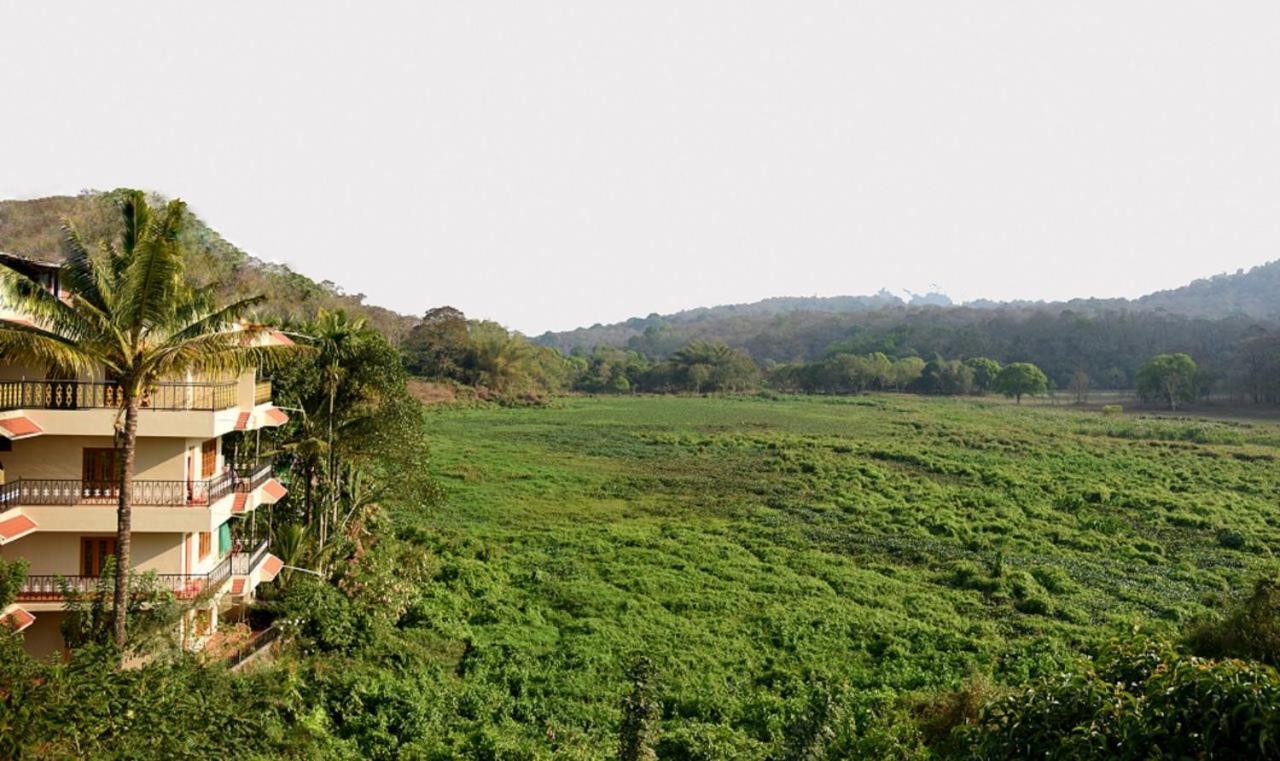 Jungle Palace * Thekkady