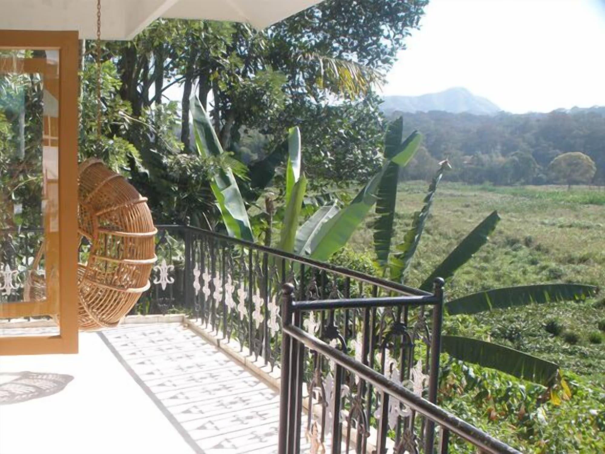 Homestay Jungle Palace *