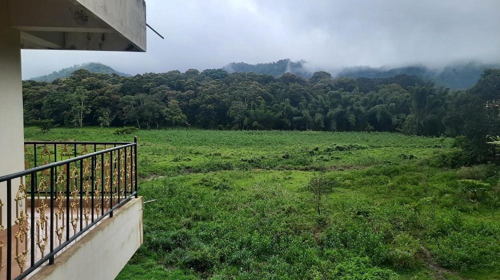 Jungle Palace Homestay *