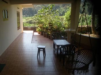 Jungle Palace *