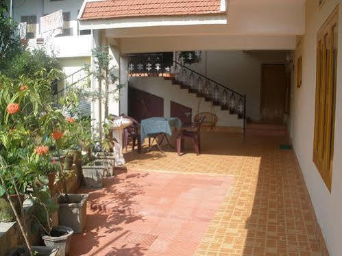 Jungle Palace *