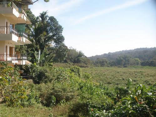 Jungle Palace *